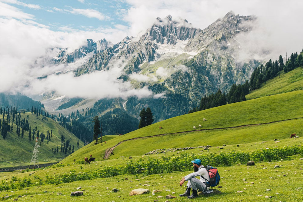 Kashmir